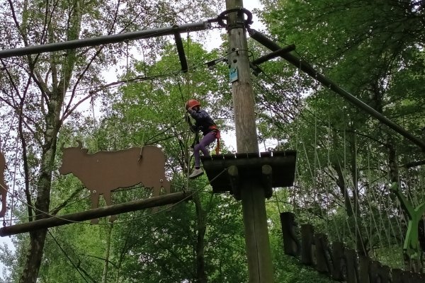 Kinder im Kletterwald